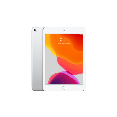 Apple iPad Pro (32GB, Wi-Fi, Space Gray) 12.9in Tablet (Reacondicionado) :  : Electrónicos